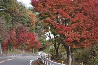 芦有ドライブウェイ