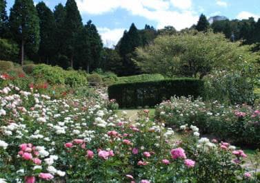 六甲山カンツリーハウス