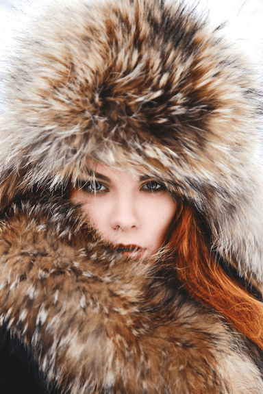 MH WILDイメージ1