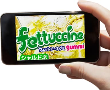 PictuAR使用イメージ_1