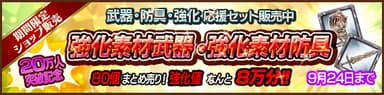 セット販売キャンペーン