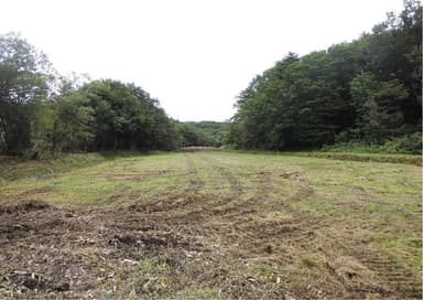 造成写真2