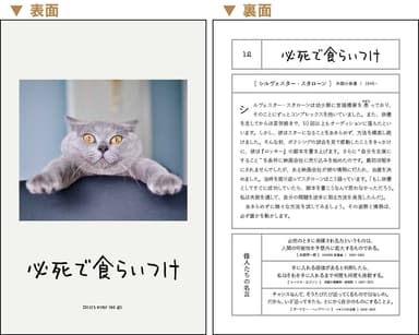 中面