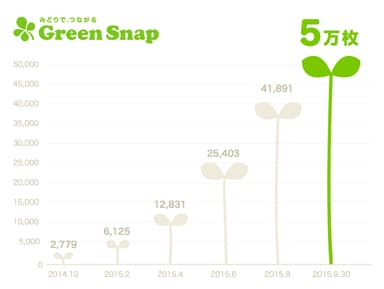GreenSnap　投稿枚数グラフ