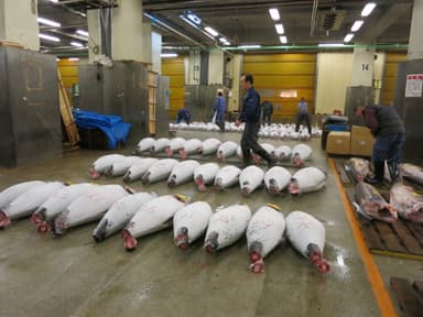 豊洲新市場の移転に際し、社会・文化・環境等の要素で住民参加型の空間づくりを推進(プロジェクト番号16)