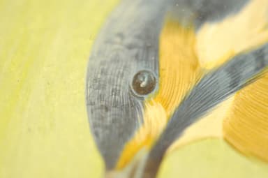 動物画「カワセミ」の細部
