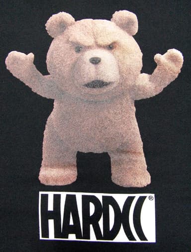 テッド2 ぷんぷんぷんぷんプルオーバーパーカー5