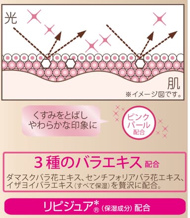 エクセル　エクストラリッチパウダー　図