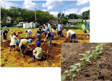 野菜の植付け体験