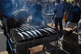 さんま1000匹