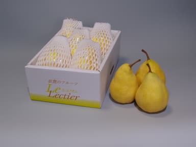 ル レクチエ