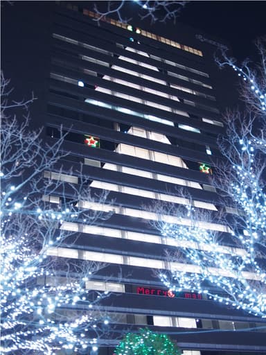 巨大クリスマスツリー