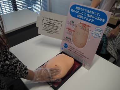 乳がん触診モデル