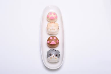スコティッシュフォールドまんじゅう2