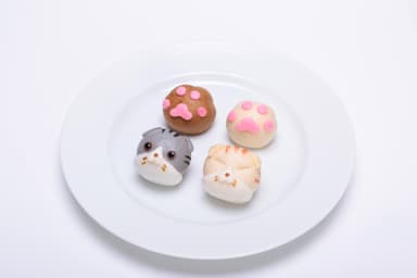 スコティッシュフォールドまんじゅう3
