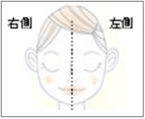 ハーフフェイス評価　イメージ(1)