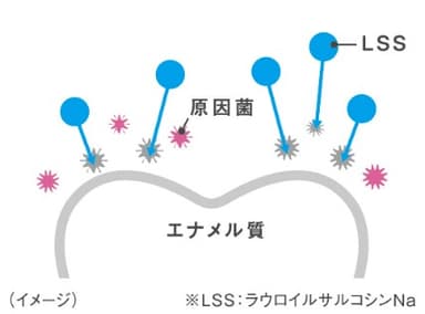 ハミガキ図3