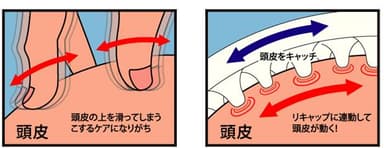 頭皮イラスト