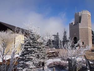 樹氷が着氷したエリア内（1月20日撮影）