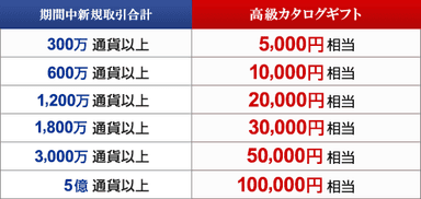 キャンペーン条件