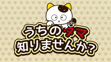 タマ＆フレンズ ～うちのタマ知りませんか？～ メイン画像