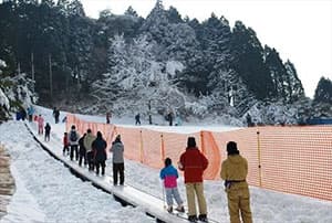 「ムービングベルト」利用時の様子