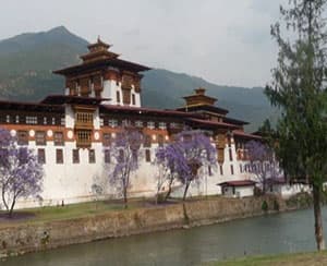 展示予定のブータンの写真