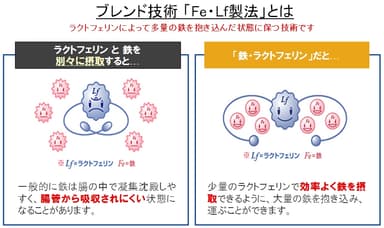 「Fe・Lf製法」