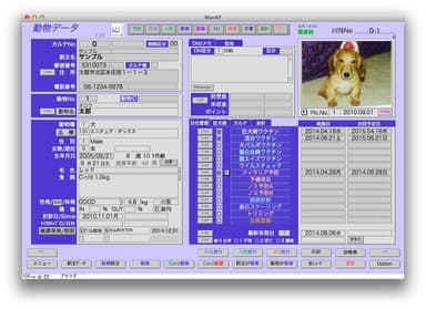 動物データ