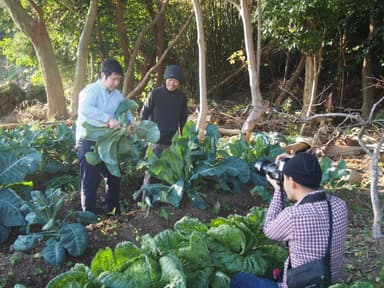 阿久根産地・バイヤー視察取材の様子