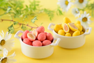 期間限定アーモンドショコラ