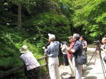 フォトセミナー