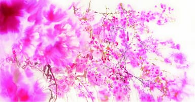 「ＳＡＫＵＲＡ　ｉｎ　Ｍａｒｕｎｏｕｃｈｉ -桜-　Ａｒｔ　Ｉｎｓｔａｌｌａｔｉｏｎ　ｂｙ　ＯＨＧＵＳＨＩ」 キービジュアル