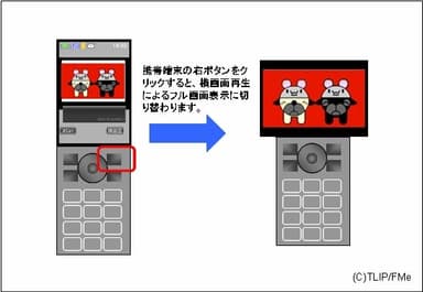 図解１ワイド対応イメージ