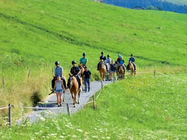 スイス・レザンでの乗馬体験