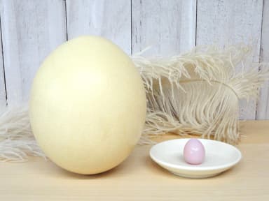 ダチョウのタマゴとうずらのタマゴ(岩下漬け)