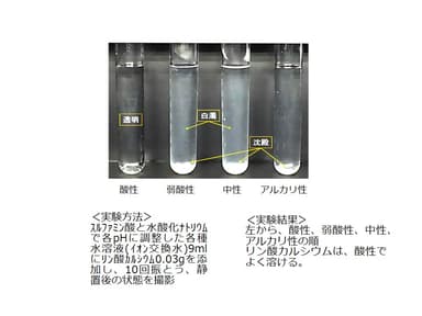 実験結果