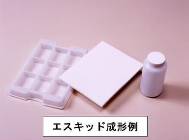 エスキッド成形例