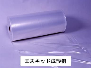 エスキッド成形例