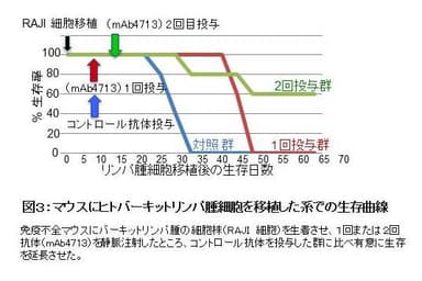 図3