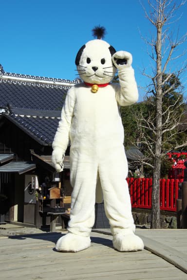 ニャンまげとご当地人気キャラとのコラボ