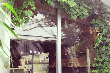 haaz shop　エントランス