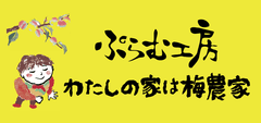 みかん果汁がたっぷりしみ込んだ「紀州みかん梅」を
和歌山の梅干専門店が発売