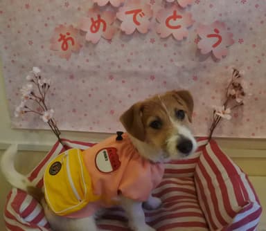 記念写真撮影1