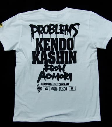 PROBLEMS FROM AOMORI(ケンドー・カシン)腕ひしぎ逆十字ホワイト 3