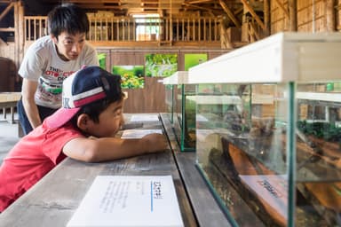 植物と昆虫展