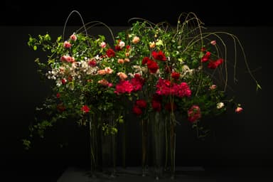 前回の様子(マミ 川崎作品)