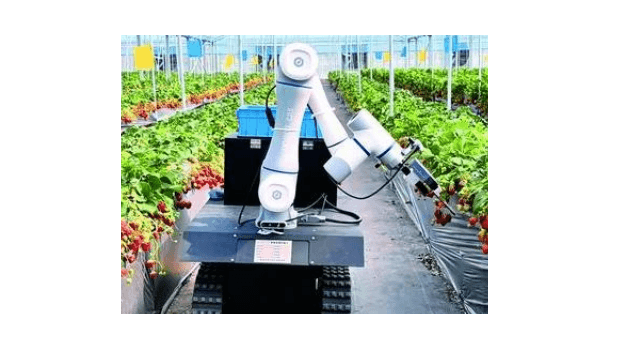 農業用ピッキングロボットの世界市場調査:規模、シェア、成長率(2026-2032年)