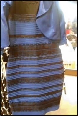 錯視の個人差の要因をDNN(人工知能の基となる計算モデル)を使って解明 -#TheDress画像の場合-