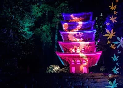 国宝五重塔に青龍が降臨! 室生寺の紅葉ライトアップが見頃